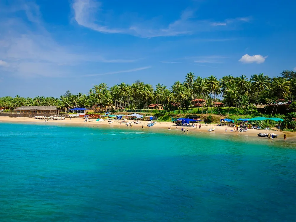 Palm-lined shore and turquoise sea in Goa