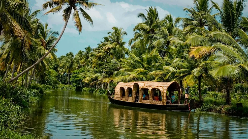 Palm trees reflected in the still backwaters of Kerala